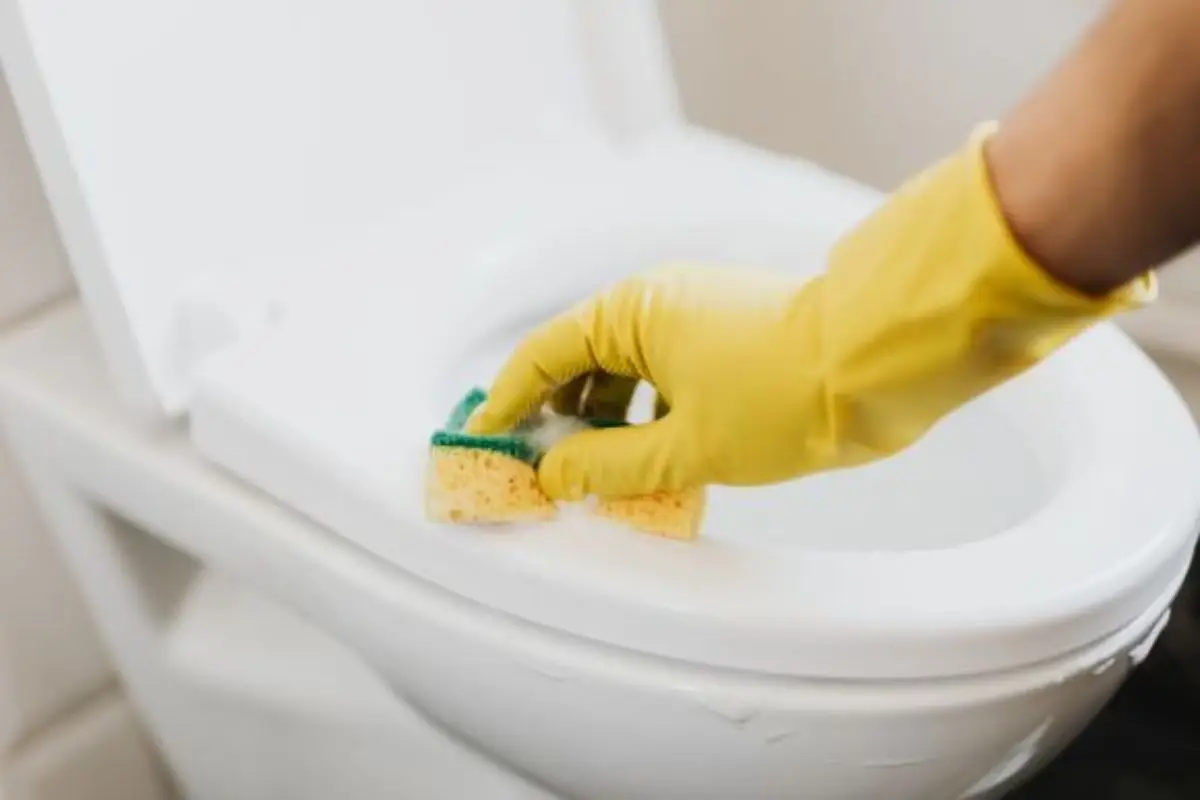 Immagine selezionata