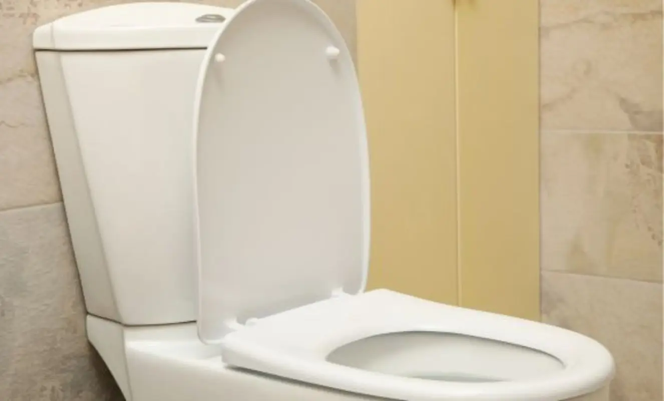 Immagine selezionata